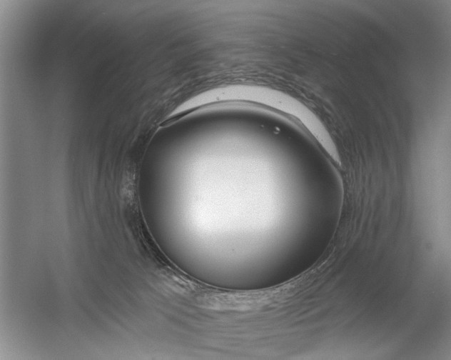 X0000054400033200508192016