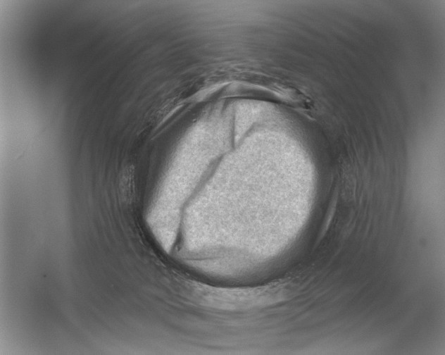 X0000054400034200508192016