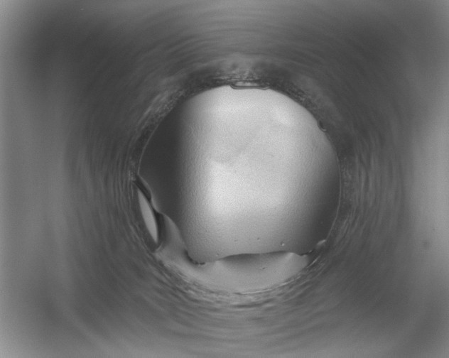 X0000054400035200508192016