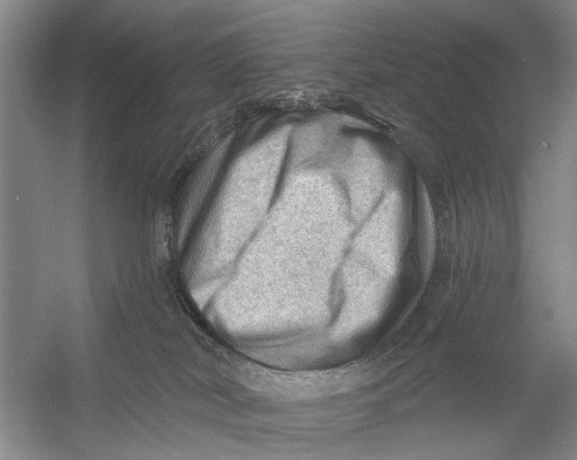 X0000054400038200508192016