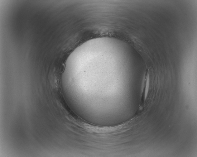 X0000054400039200508192016