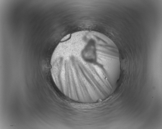 X0000054400040200508192016