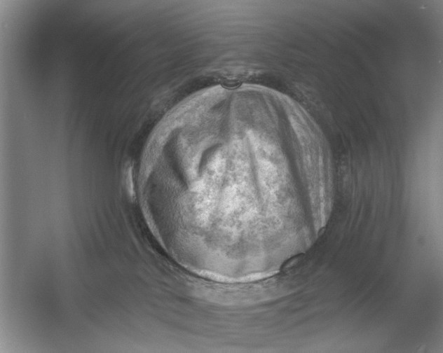 X0000054400042200508192016