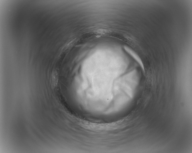 X0000054400043200508192016