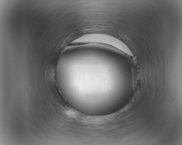 X0000054400045200508192016