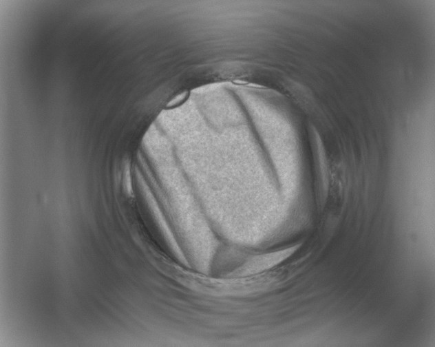 X0000054400046200508192016