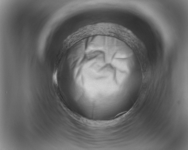 X0000054400047200508192016