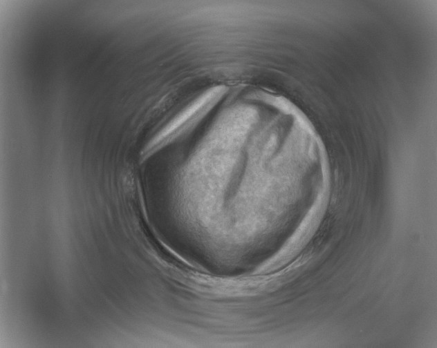 X0000054400048200508192016