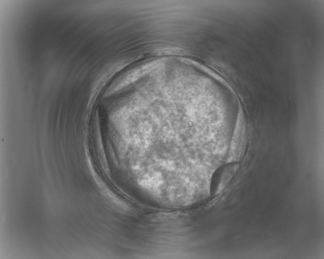 X0000054400049200508192015