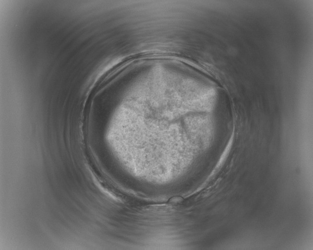 X0000054400050200508192015