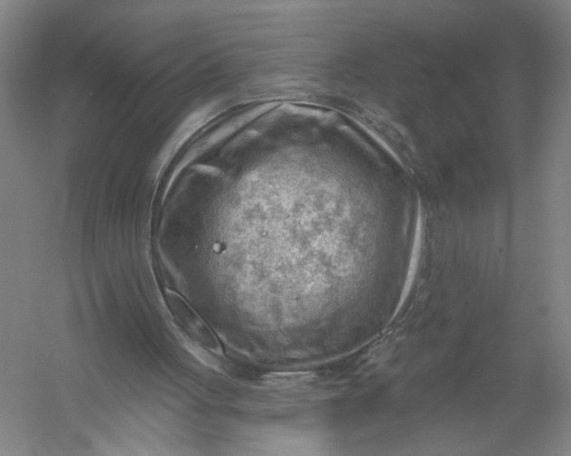 X0000054400051200508192015