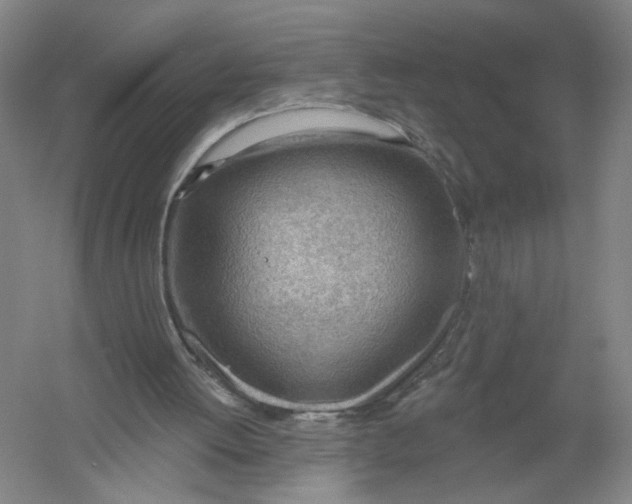 X0000054400052200508192015