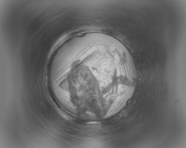 X0000054400053200508192015