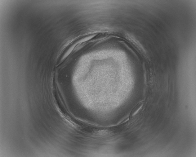 X0000054400058200508192016