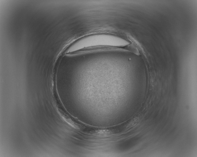 X0000054400059200508192016