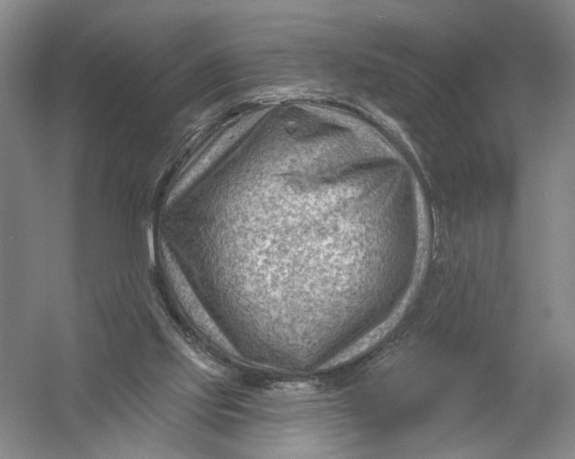 X0000054400061200508192016