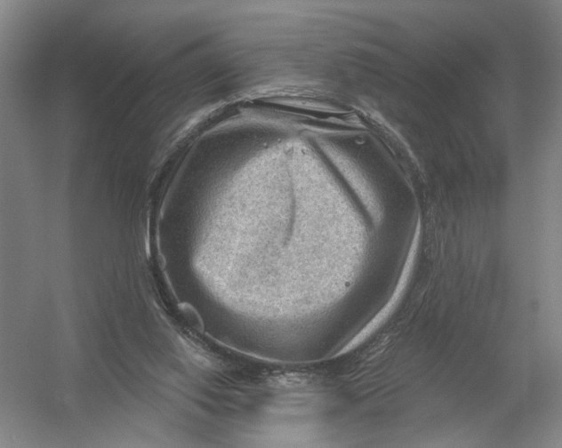 X0000054400062200508192016