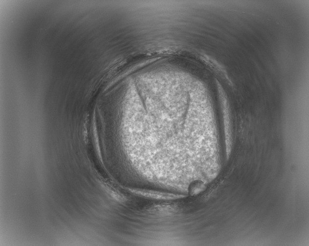 X0000054400065200508192016