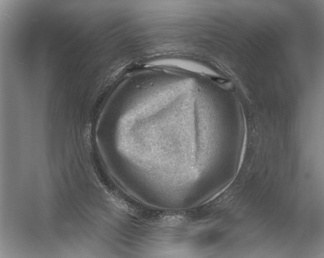 X0000054400066200508192016