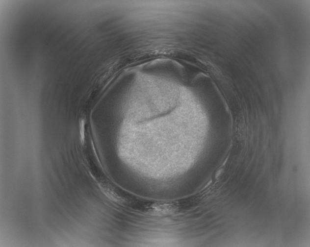 X0000054400070200508192016