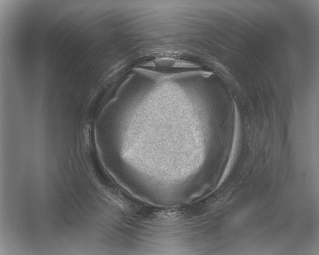 X0000054400071200508192016