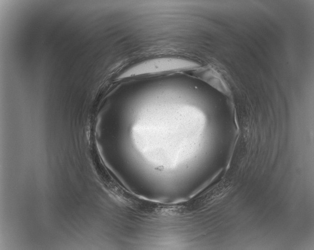 X0000054400072200508192016