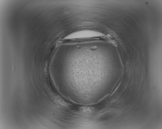 X0000054400073200508192016