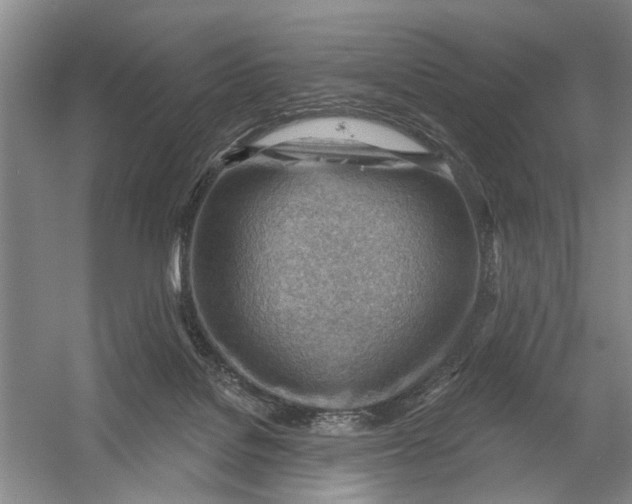 X0000054400076200508192016