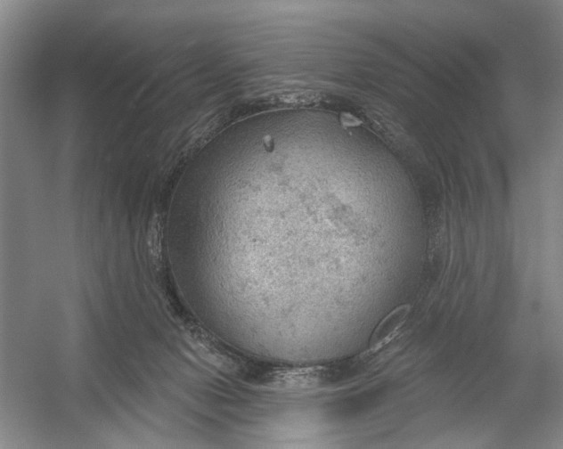 X0000054400078200508192016