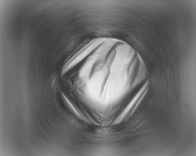 X0000054400079200508192016