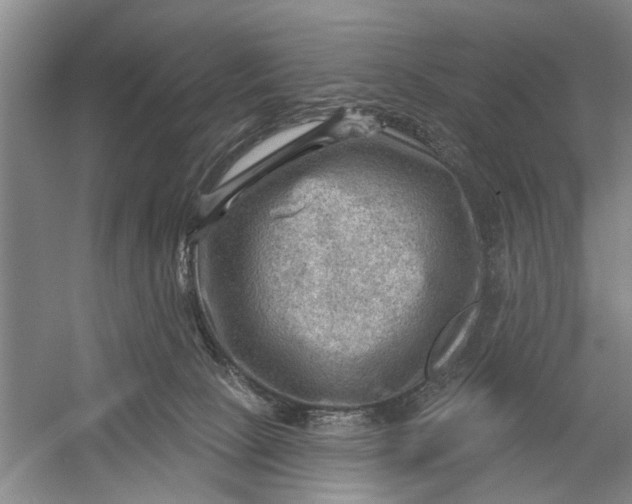 X0000054400081200508192016