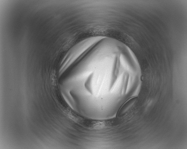 X0000054400083200508192016