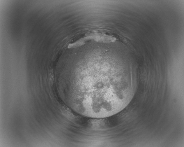 X0000054400085200508192016