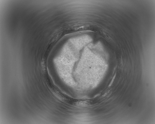 X0000054400086200508192016