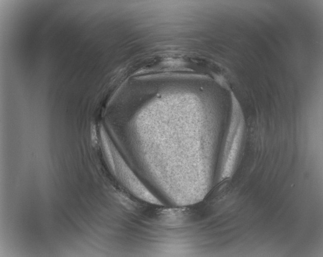 X0000054400089200508192016