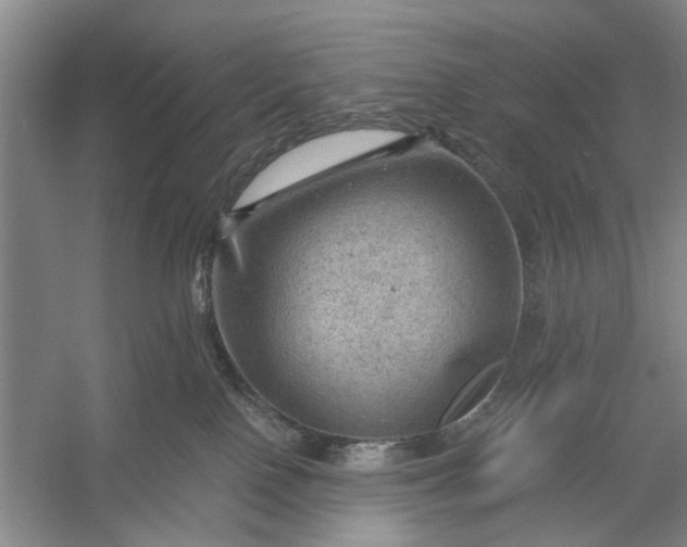 X0000054400090200508192016