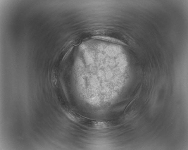 X0000054400091200508192016