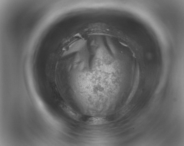 X0000054400093200508192016