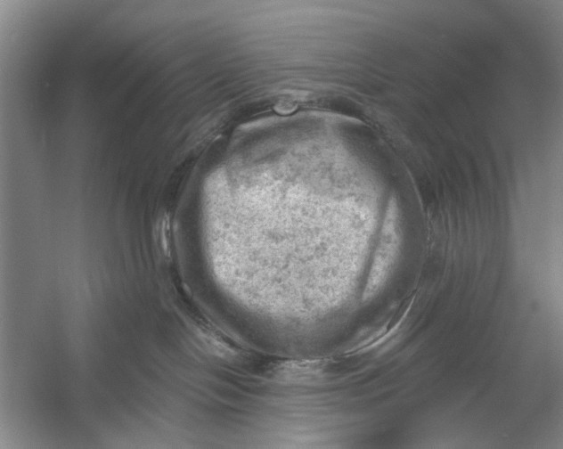 X0000054400094200508192016