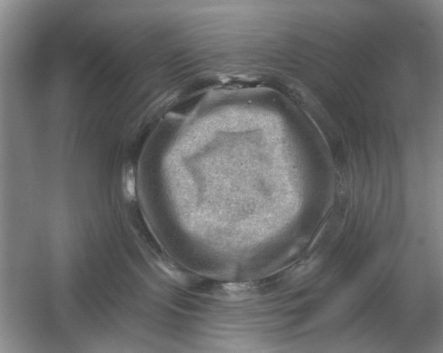 X0000054400095200508192016