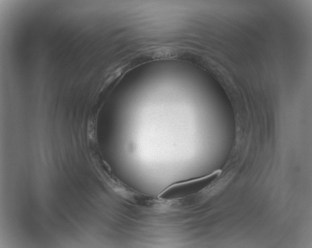 X0000054400096200508192016