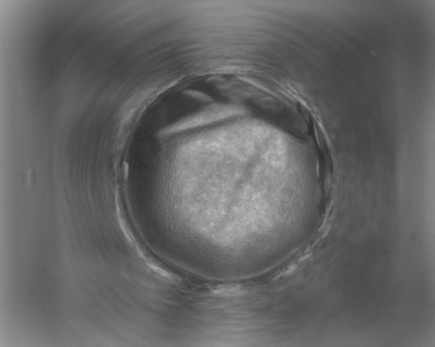 X0000054400097200508192015