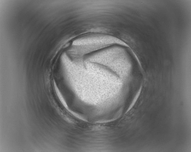 X0000054400098200508192015