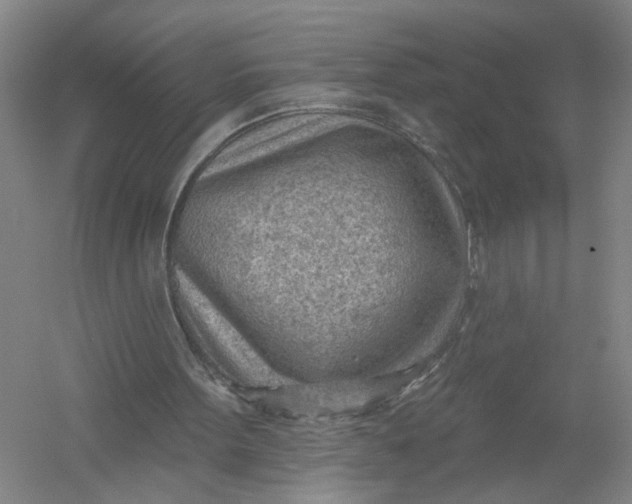 X0000054400099200508192015