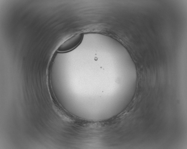 X0000054400100200508192015