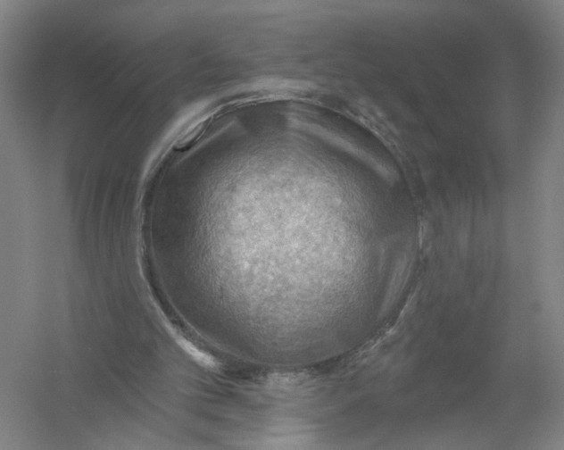 X0000054400101200508192015