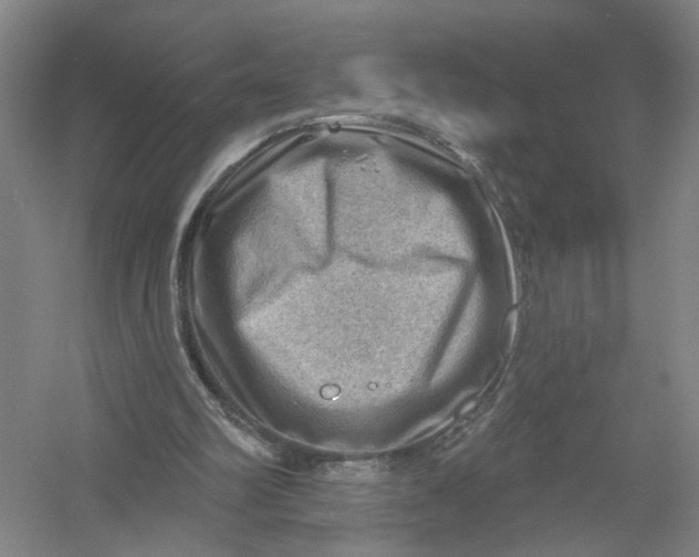 X0000054400102200508192015