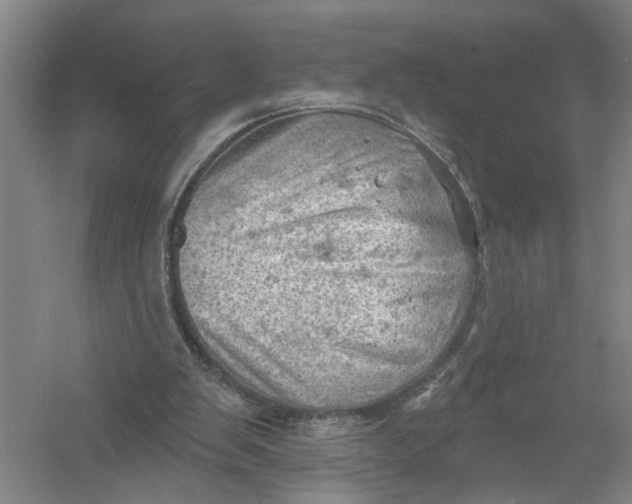 X0000054400103200508192015