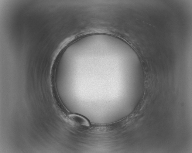 X0000054400104200508192015