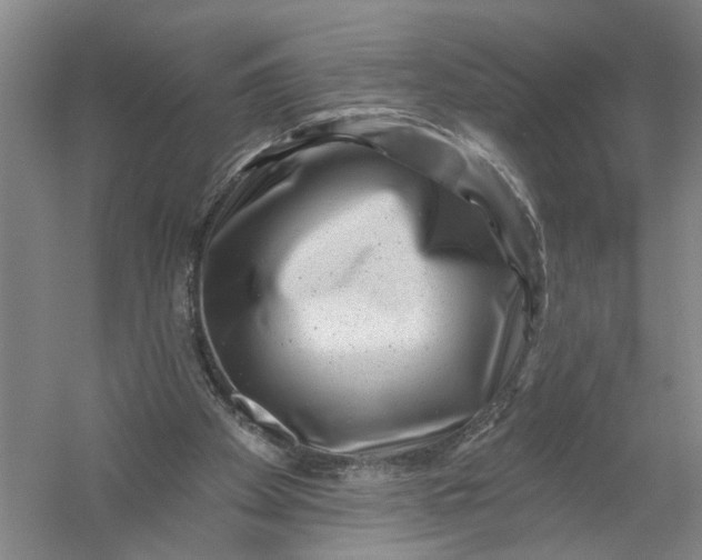 X0000054400105200508192015